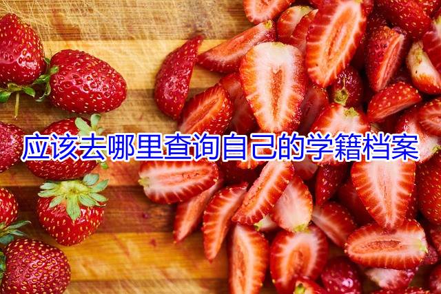 应该去哪里查询自己的学籍档案