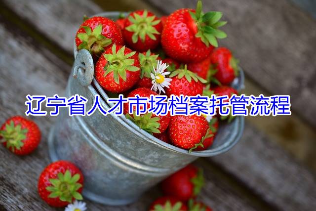 辽宁省人才市场档案托管流程