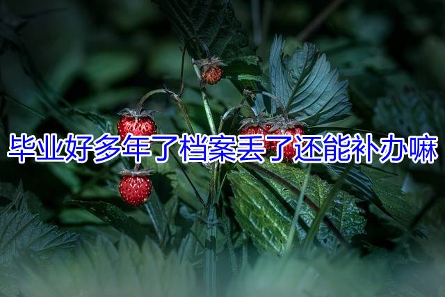 毕业好多年了档案丢了还能补办嘛