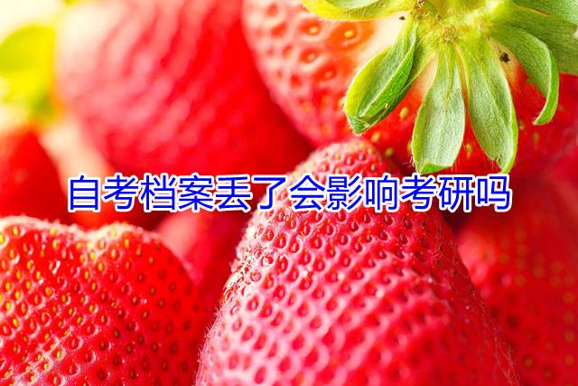 自考档案丢了会影响考研吗