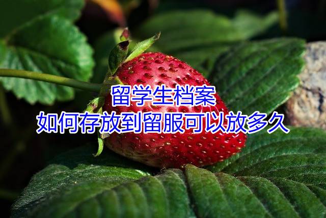 留学生档案如何存放到留服可以放多久