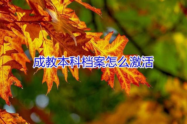 成教本科档案怎么激活