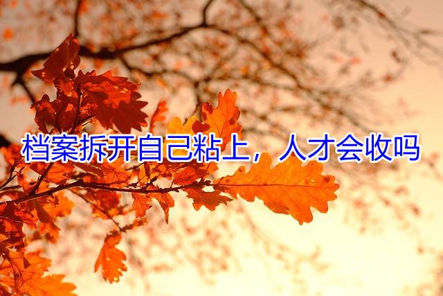 档案拆开自己粘上，人才会收吗