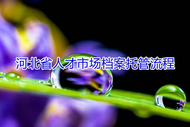河北省人才市场档案托管流程