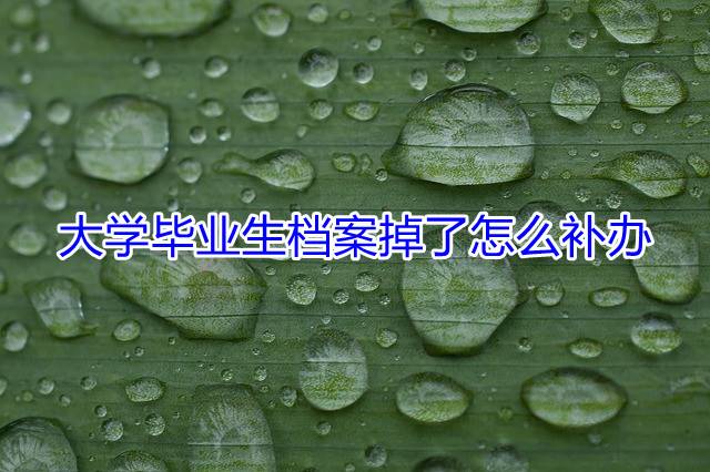 大学毕业生档案掉了怎么补办
