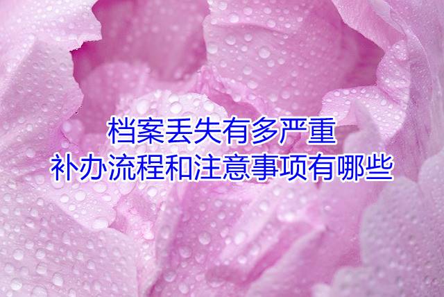 档案丢失有多严重，补办流程和注意事项有哪些