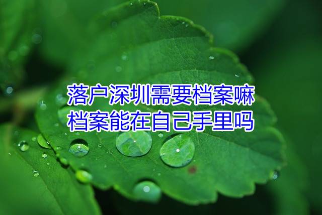 落户深圳需要档案嘛，档案能在自己手里吗