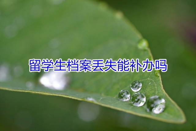 留学生档案丢失能补办吗
