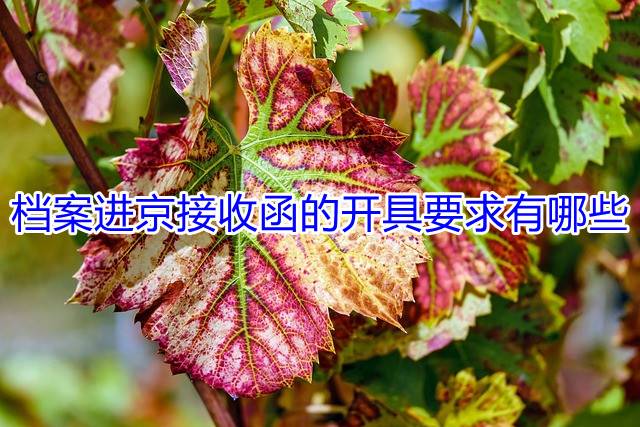 档案进京接收函的开具要求有哪些