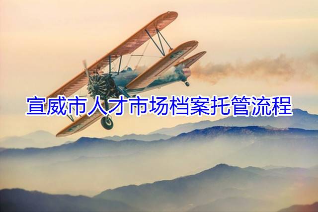 宣威市人才市场档案托管流程