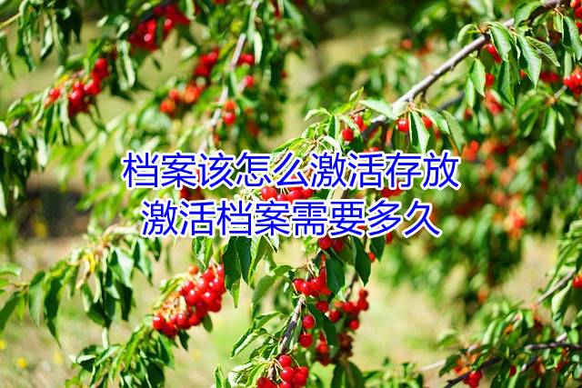 档案该怎么激活存放，激活档案需要多久