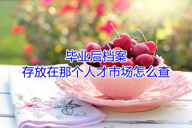 毕业后档案存放在那个人才市场怎么查