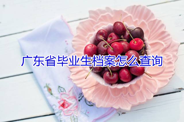 广东省毕业生档案怎么查询