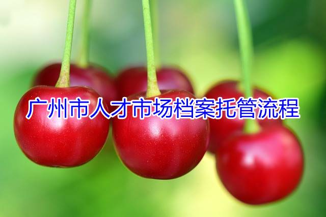 广州市人才市场档案托管流程