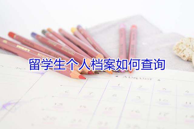 留学生个人档案如何查询