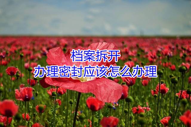 档案拆开，办理密封应该怎么办理