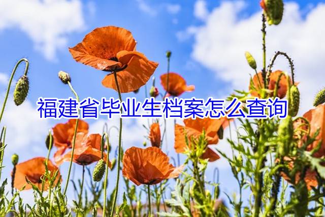 福建省毕业生档案怎么查询