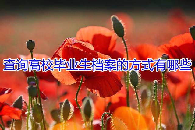 查询高校毕业生档案的方式有哪些