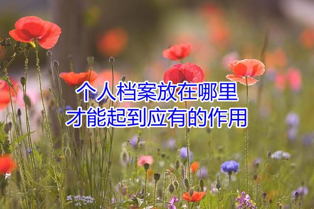 个人档案放在哪里才能起到应有的作用