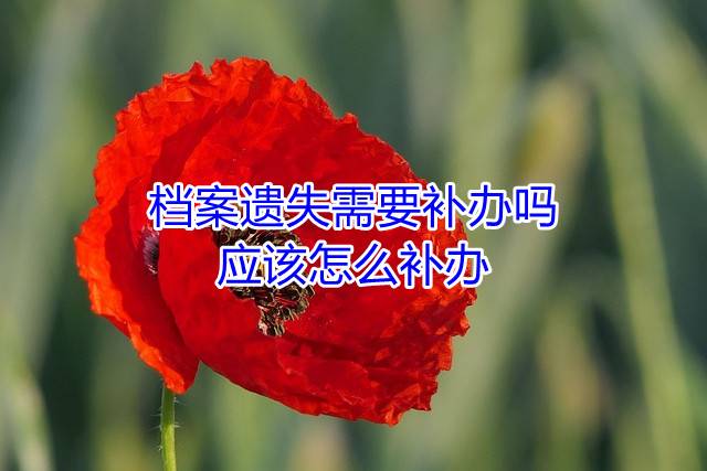 档案遗失需要补办吗，应该怎么补办