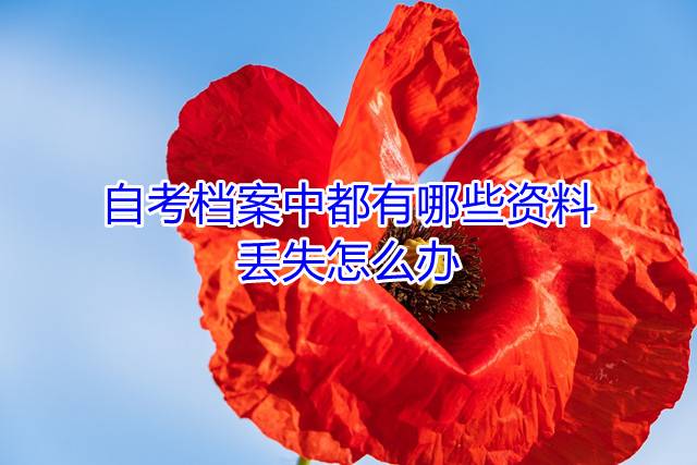 自考档案中都有哪些资料，丢失怎么办