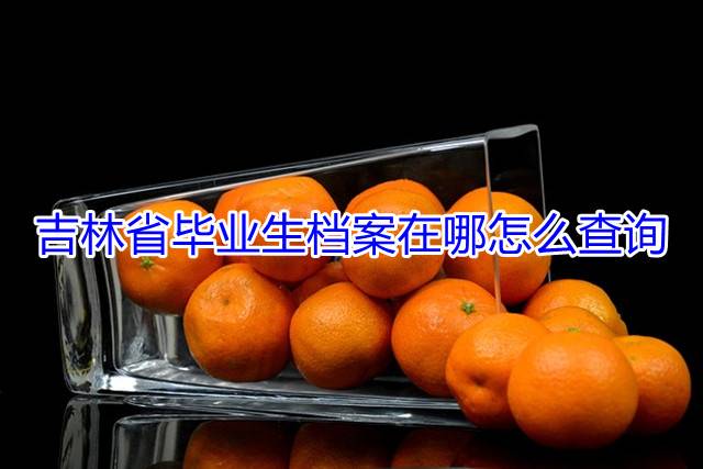吉林省毕业生档案在哪怎么查询