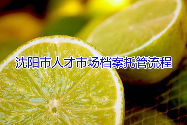 沈阳市人才市场档案托管流程