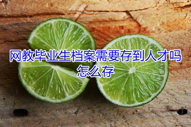 网教毕业生档案需要存到人才吗，怎么存