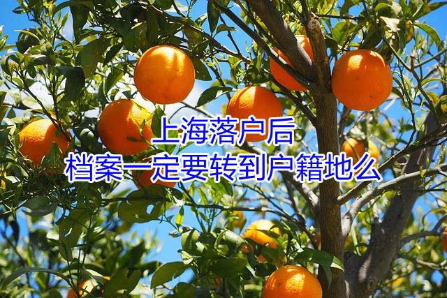 上海落户后档案一定要转到户籍地么