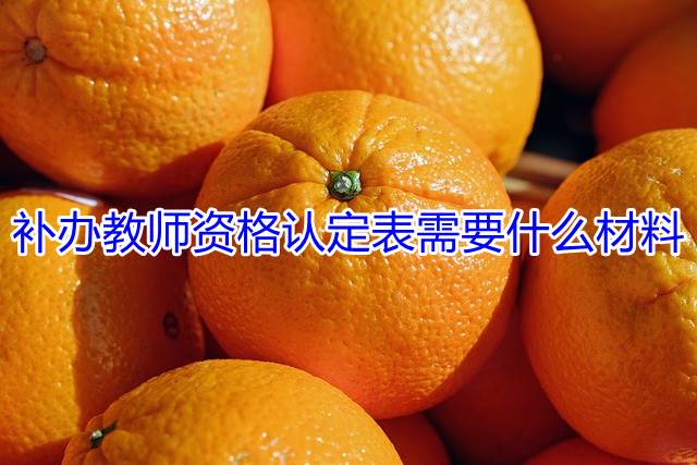 补办教师资格认定表需要什么材料
