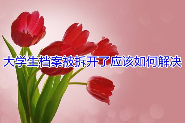 大学生档案被拆开了应该如何解决