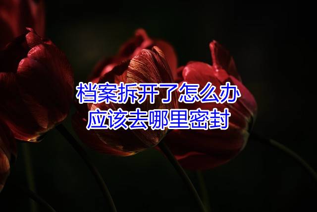 档案拆开了怎么办，应该去哪里密封