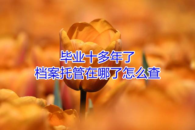 毕业十多年了档案托管在哪了怎么查