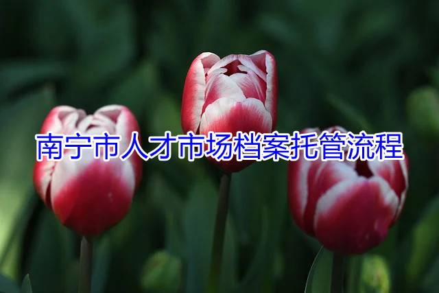 南宁市人才市场档案托管流程