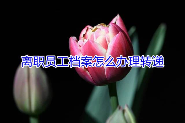 离职员工档案怎么办理转递