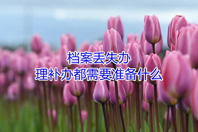档案丢失办理补办都需要准备什么