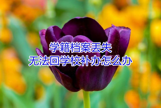 学籍档案丢失，无法回学校补办怎么办