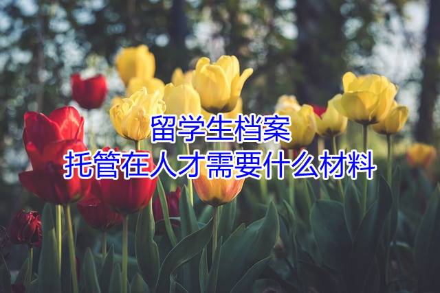 留学生档案托管在人才需要什么材料