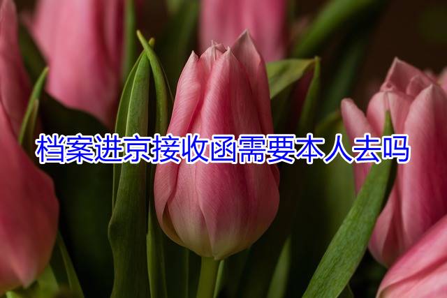 档案进京接收函需要本人去吗