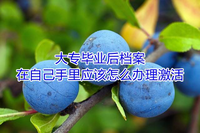 大专毕业后档案在自己手里应该怎么办理激活