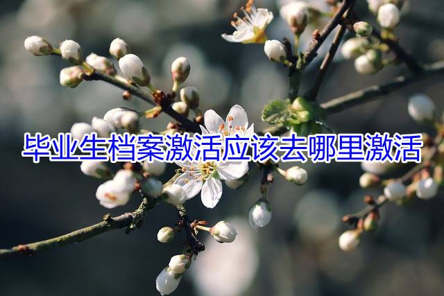 毕业生档案激活应该去哪里激活