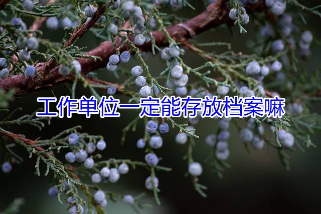 工作单位一定能存放档案嘛