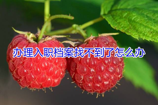 办理入职档案找不到了怎么办