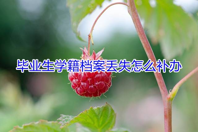 毕业生学籍档案丢失怎么补办
