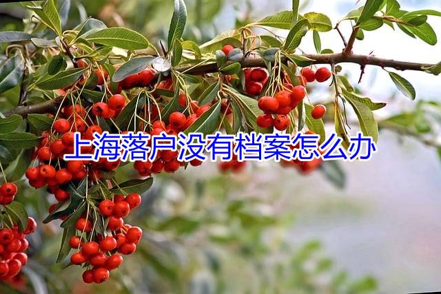 上海落户没有档案怎么办