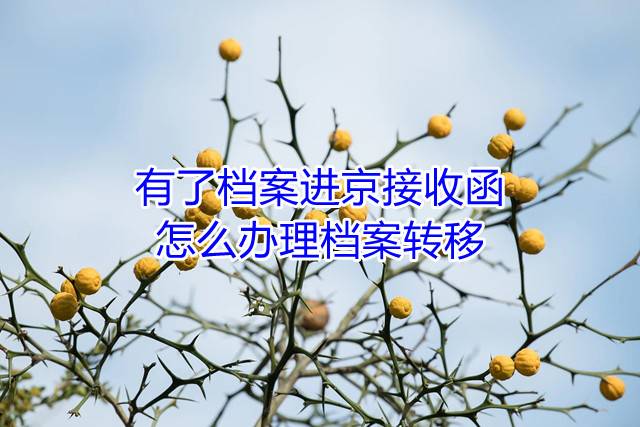 有了档案进京接收函怎么办理档案转移