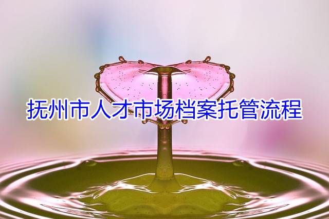 抚州市人才市场档案托管流程