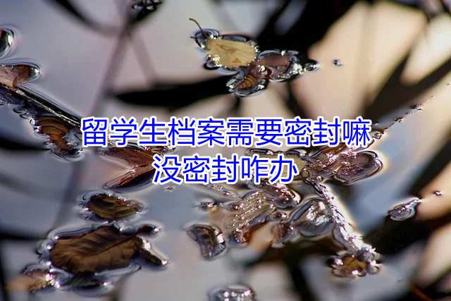 留学生档案需要密封嘛，没密封咋办