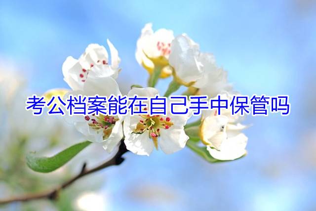 考公档案能在自己手中保管吗