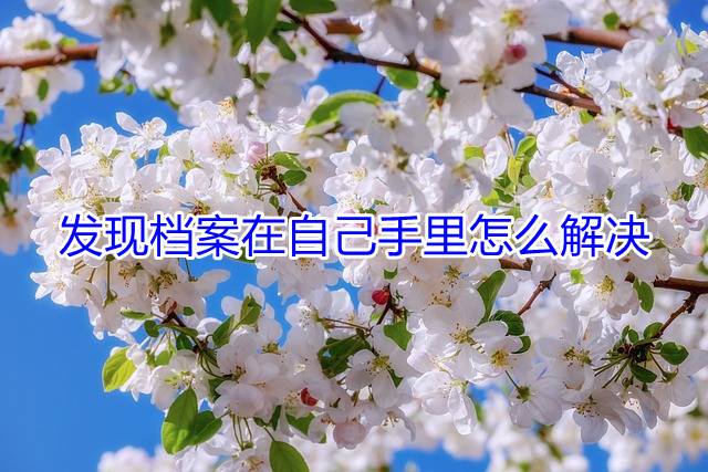 发现档案在自己手里怎么解决